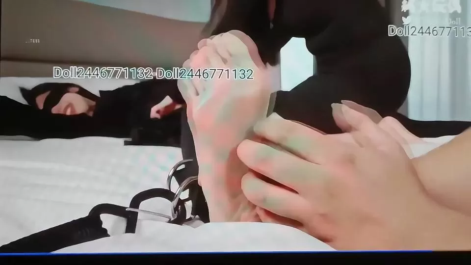 114125fz4eg8ofw311wfv5.webp