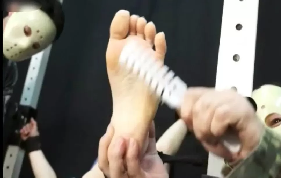 005751tt0tf03boffyn0nl.webp