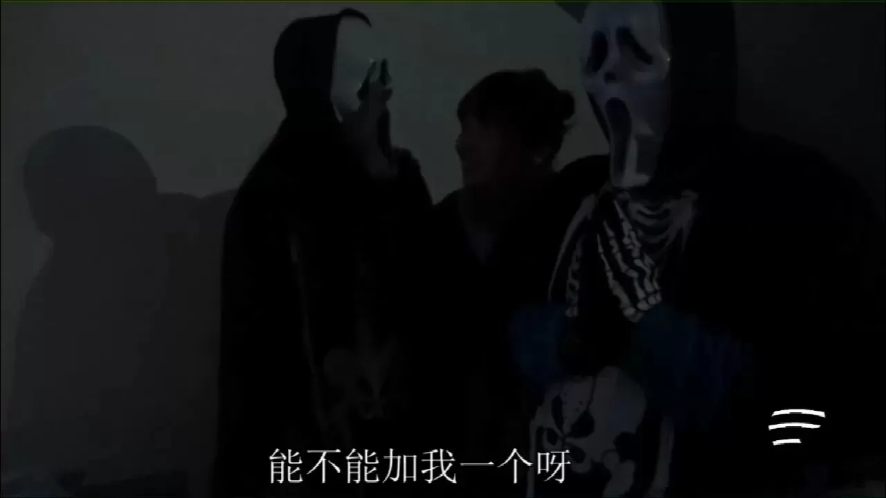 11.webp
