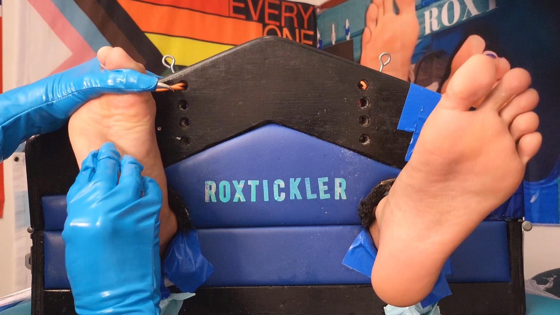 GlorySoleKit.mp4_20260303_182932195.jpg