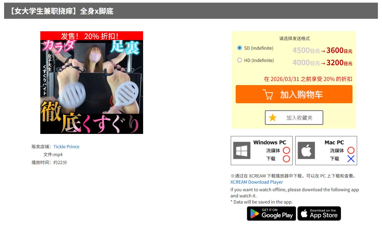 11.webp