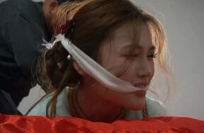 女神捕之千金蒙冤案 第一集（在线播）